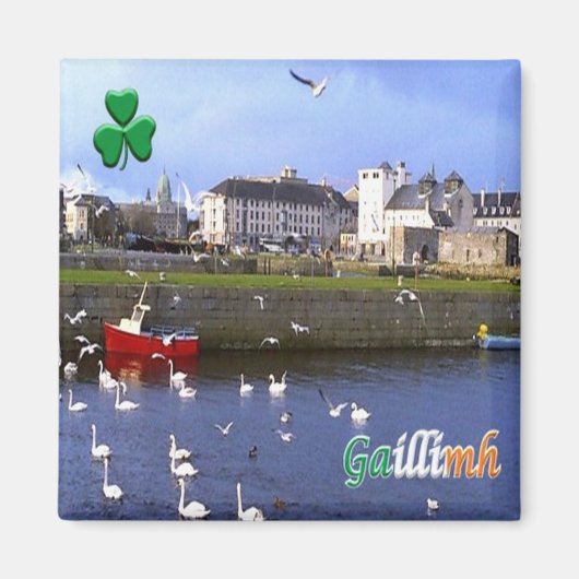 zIE005 GALWAY GAILLMH，アイルランド，冷蔵庫 マグネット (正面)