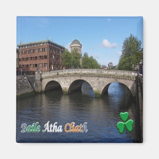 zIE008 DUBLIN，アイルランド，冷蔵庫 マグネット (正面)