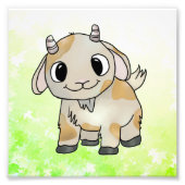 Zieglein フォトプリント (正面)