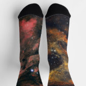 Zieh das Universum an ソックス (上部)