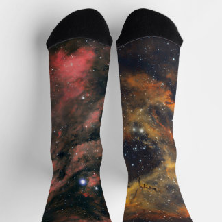 Zieh das Universum an ソックス