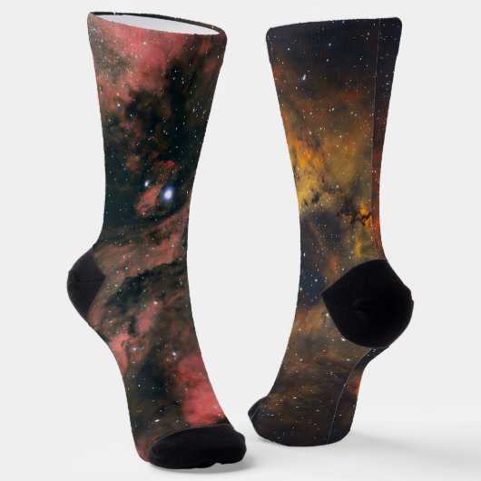 Zieh das Universum an ソックス (傾斜あり)