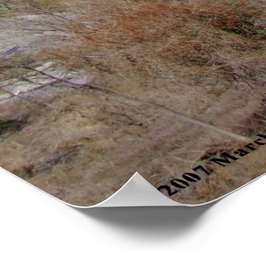 Zihuatanejo Bay – ポスター (角)