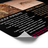 Zikaのモスク運をRoseWritesで比較 ポスター (角)