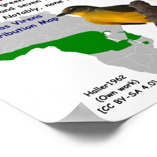 ZikaのReservoir & Ampling Host by RoseWrites ポスター (角)