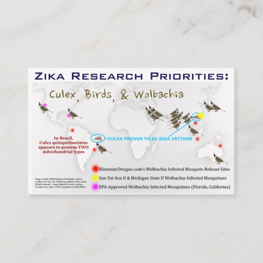 Zika Research Priorities Biz Card by RoseWrites 名刺 (正面)