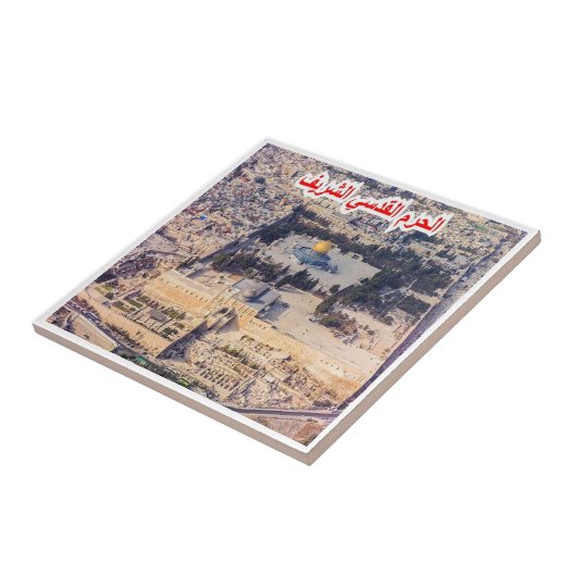 zIL008テンプル山、イスラエル、中東、 タイル (側面)