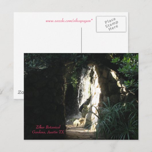 Zilker Botanical Gardens, Austin TX ポストカード (正面/裏面)