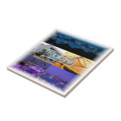 zIN007高知、インド、アジア、 タイル (側面)