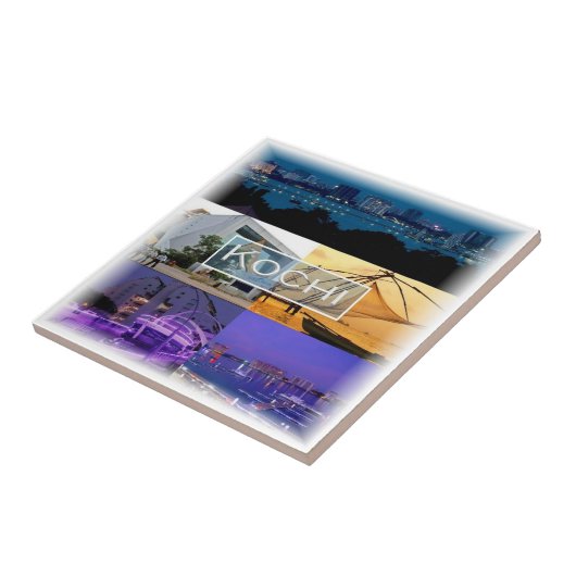 zIN007高知、インド、アジア、 タイル (側面)