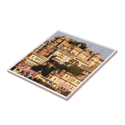 zIN016 UDAIPUR City Palace，インド，アジア タイル (側面)