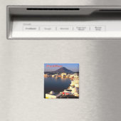 zIN018 PUSHKAR LAKE，インド，アジア，冷蔵庫 マグネット (インサイチュ (食洗機))