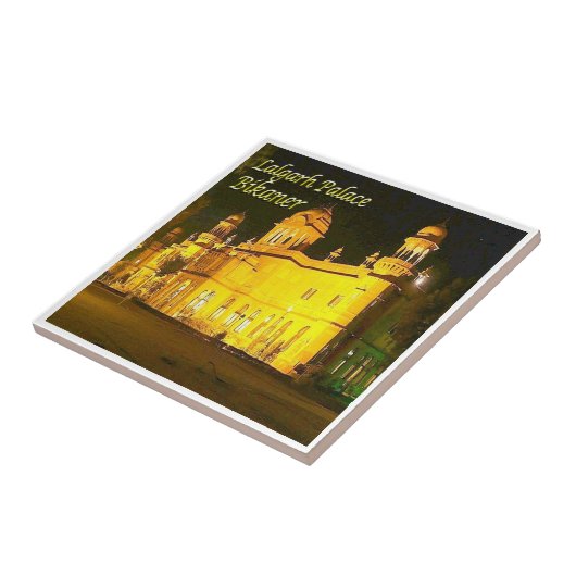 zIN030 LALGARH PALACE BIKANER（インド） タイル (側面)