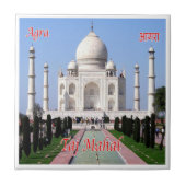 zIN032 AGRA TAJ MAHAL，インド，アジア， タイル (正面)