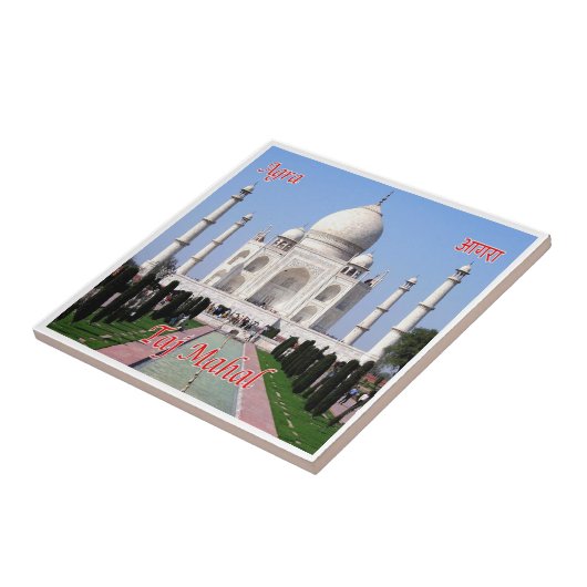 zIN032 AGRA TAJ MAHAL，インド，アジア， タイル (側面)