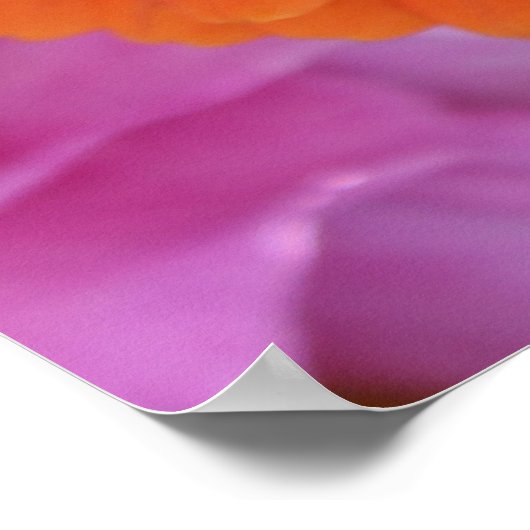 Zinnia ポスター (角)