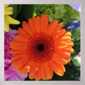 Zinnia ポスター (正面)