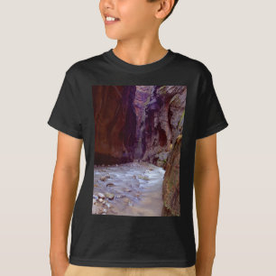 Zionの物語の川を通ってハイキングするZionの狭いところ Tシャツ