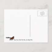 ZionストライプののDouble Arch Alcove Iのロック ポストカード (裏面)