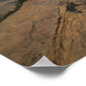 zion国立公園 ポスター (角)