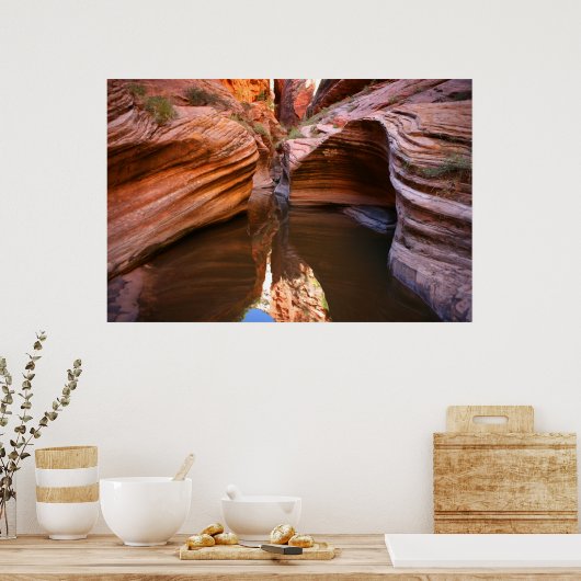 zion国立公園 ポスター (キッチン)