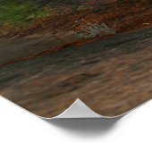 zion国立公園 ポスター (角)