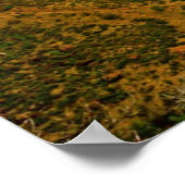 zion angels landing utah poster FROM 8.99 ポスター (角)