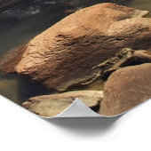 Zion Mountain Streamポスター ポスター (角)