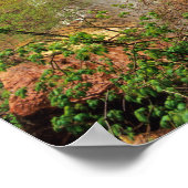 Zion Nationalのエメラルドプールズトレイルをハイキング ポスター (角)