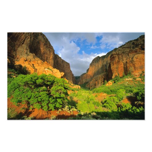 Zion NationalのZion CanyonにあるKolob Canyon フォトプリント (正面)