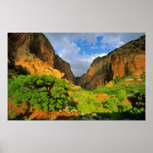 Zion NationalのZion CanyonにあるKolob Canyon ポスター