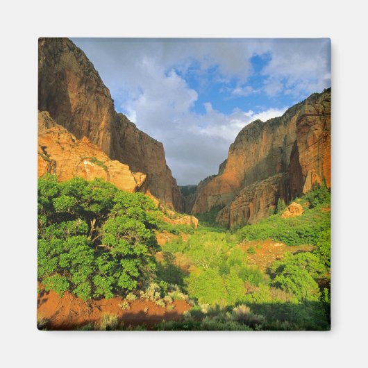 Zion NationalのZion CanyonにあるKolob Canyon マグネット (正面)