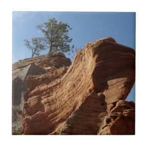  Zion National Parkのエンジェルスランディングへ タイル