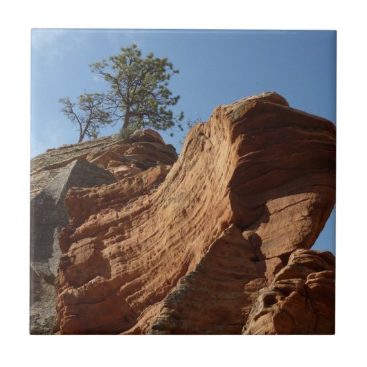 Zion National Parkのエンジェルスランディングへ タイル (正面)