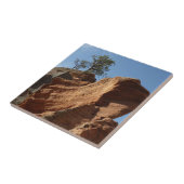Zion National Parkのエンジェルスランディングへ タイル (側面)