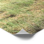 Zion National Park USA ポスター (角)