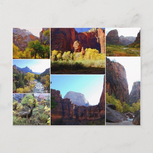 Zion National Park, Utah, Collageはがき ポストカード (正面)