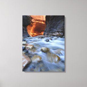 Zion National Park Utah the Narrowsファインアート写真 キャンバスプリント