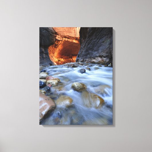 Zion National Park Utah the Narrowsファインアート写真 キャンバスプリント (正面)