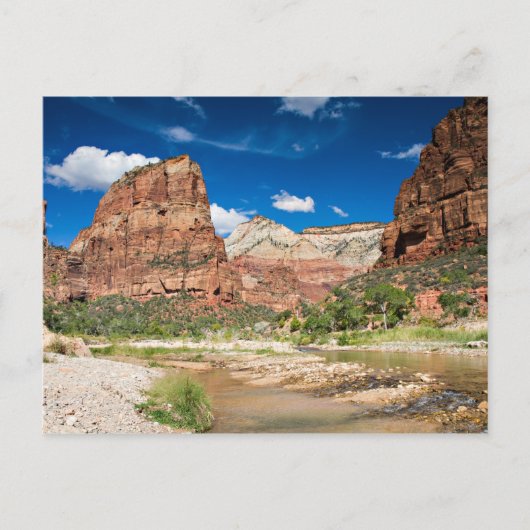 Zion NP – エンジェルズランディングポストカード ポストカード (正面)