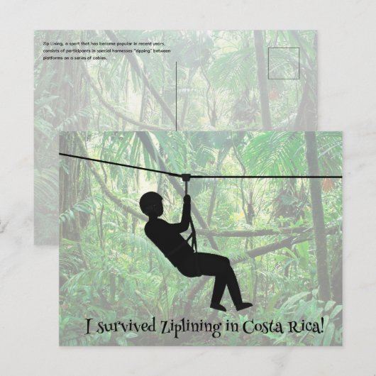 Ziplineはがき ポストカード (正面/裏面)