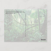 Ziplineはがき ポストカード (裏面)