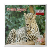 zIR006 PERSIAN LEOPARD，イラン，アジア， タイル (正面)