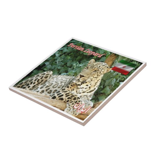 zIR006 PERSIAN LEOPARD，イラン，アジア， タイル (側面)