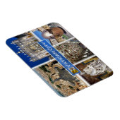 zIT000ローマバチカン市。セントピーター広場 マグネット (右側)