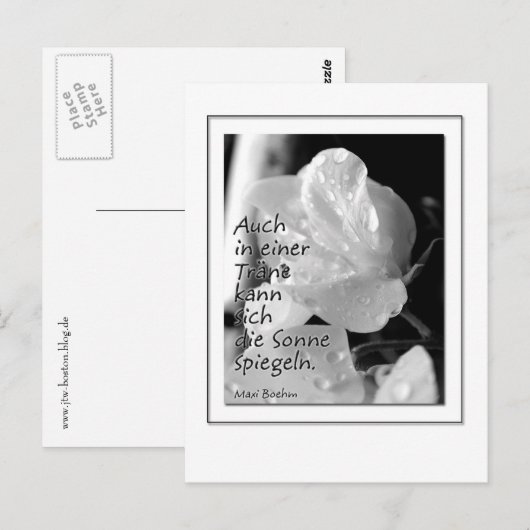 Zitat-Traene ポストカード (正面/裏面)