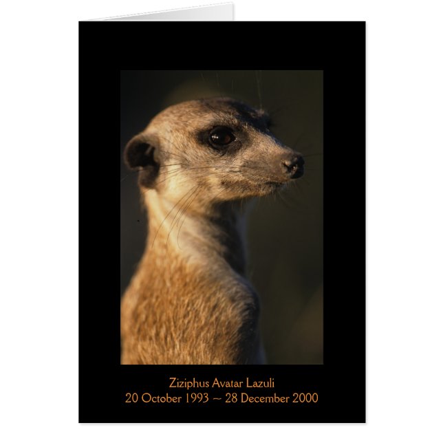 Ziziphus -伝説カード (正面)