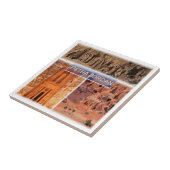 zJO003 PETRA，ヨルダン，アジア， タイル (側面)