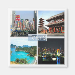 zJP005 TOKYO Japan,アジア,冷蔵庫 マグネット