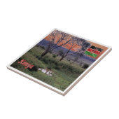 zKE003 KENYA, Panorama, Africa, タイル (側面)